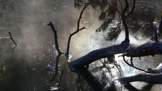 Otwarcie II wystawy fotograficznej "FOtoMy"