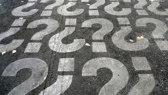 Owsiankowy terrorysta.