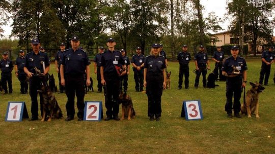 Pantera i Szach na podium