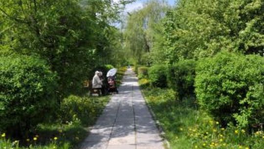 Park na Michałowie coraz bliżej