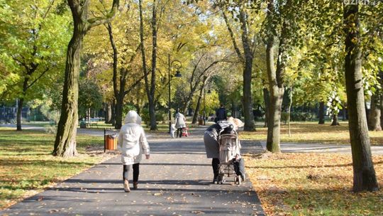 Park Na Plantach – zobacz, jak pięknie teraz wygląda