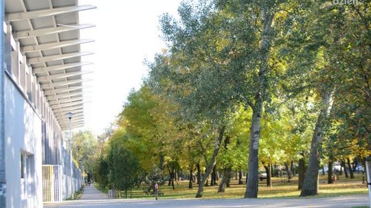 Park Planty. Powstaną nowe place zabaw