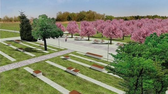 Park w dolinie Mlecznej