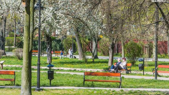 Parki znów otwarte - zdjęcia