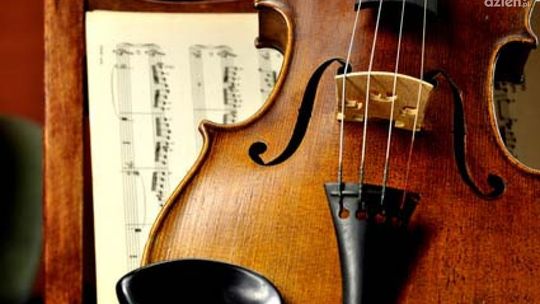 Pasja niejedno ma imię