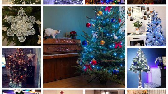 Piękne choinki naszych czytelników cz. I