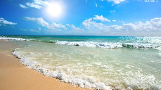 PIĘKNE DZIEWCZYNY, ZŁOTA PLAŻA - 3 MINUTY NIEZŁEGO ODJAZDU!