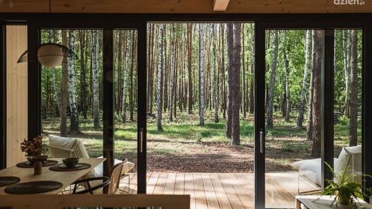 Piękno przyrody nieopodal Radomia: parki narodowe, które warto odwiedzić