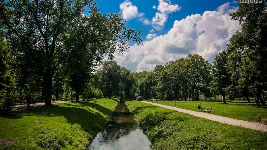 Piękny zielony Radom. Zobacz zdjęcia