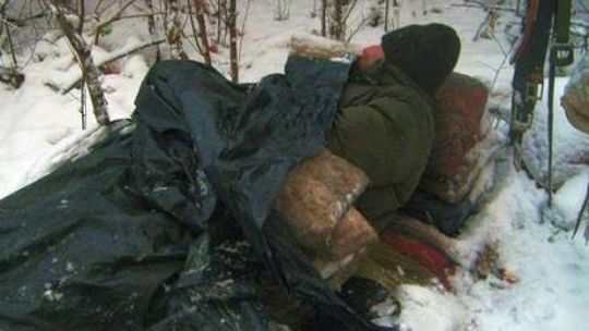 Pierwsze ofiary mrozów w tym roku