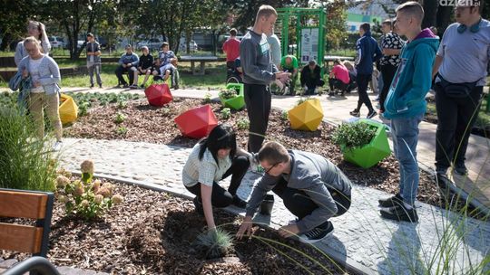 Pierwszy ogród sensoryczny w Radomiu