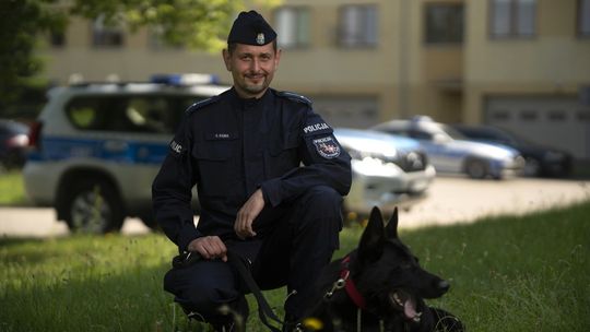 Pies policyjny Nador pomógł zatrzymać poszukiwanego w Radomiu