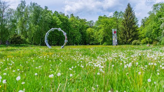 Piknik rodzinny i wernisaże