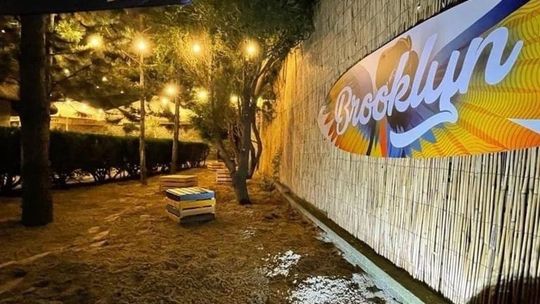 Piknik rodzinny w Brooklynie