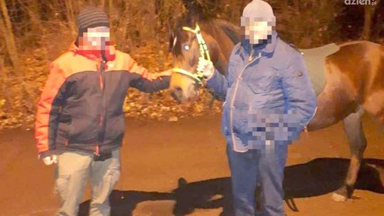 Pionki. Arab w rękach policji