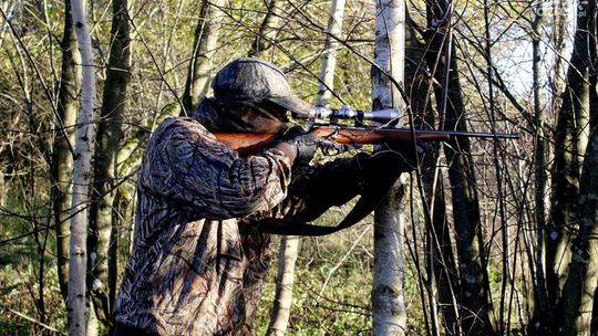 Pionki. Od listopada ruszają polowania