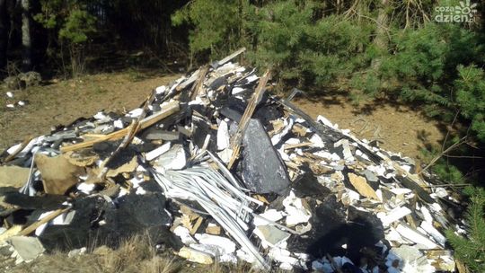 Plaga nielegalnych odpadów w gminie Jedlińsk