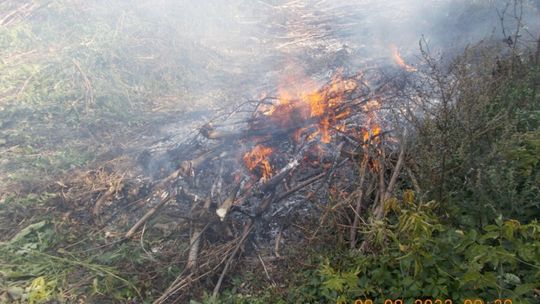 Planty. Wypalał odpady na działce