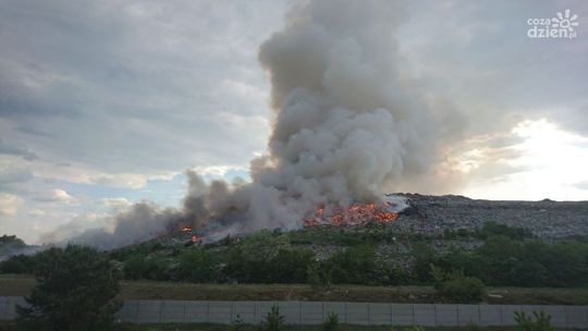 Płonie wysypisko śmieci na Wincentowie! Zdjęcia [aktualizacja]