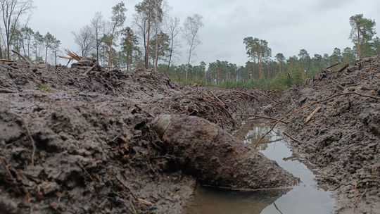 Pocisk artyleryjski wykopany w lesie pod Oblasem