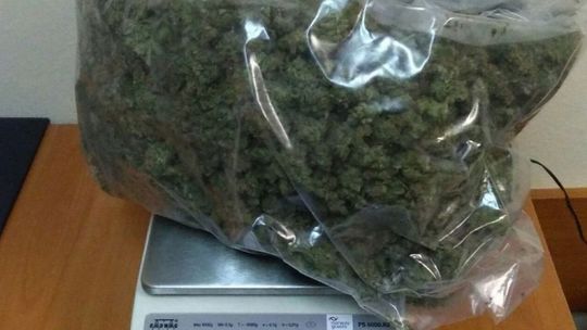 Podejrzani o przemyt narkotyków zatrzymani