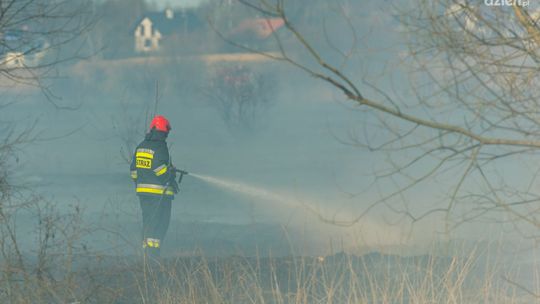 Podpalał łąki i lasy. Mężczyźnie postawiono  zarzut uszkodzenia mienia