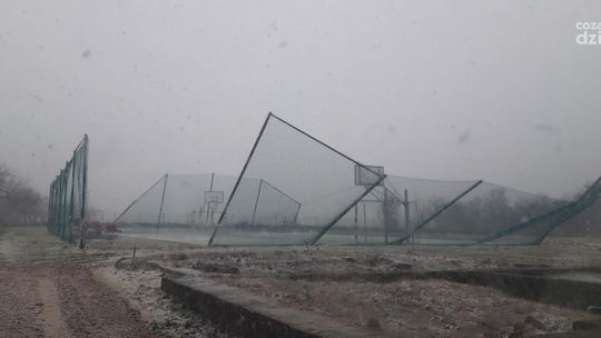 Pogodowy armagedon w Jastrzębi. Pozrywane linie, połamane drzewa