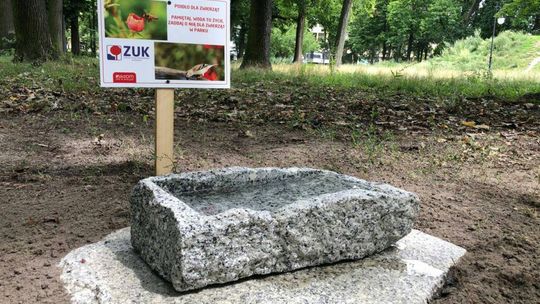 Poidła dla zwierząt stanęły w Radomiu