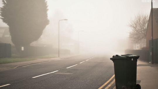 Pojemnik na śmieci – jak wybrać kosz na odpady segregowalne?