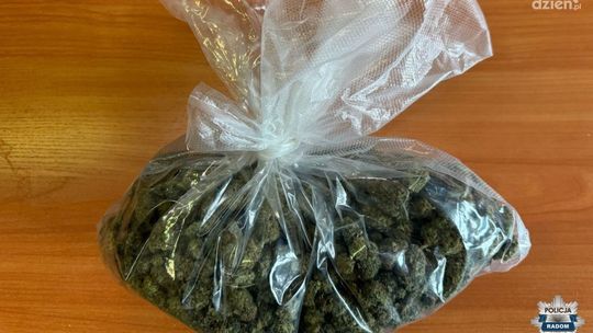 Pół kilograma narkotyków
