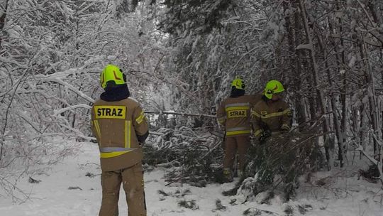 Połamane gałęzie, pozrywane linie. Ponad 60 tys. odbiorców bez prądu