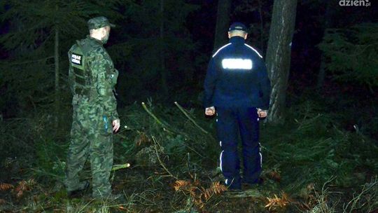 Policja ostrzega przed nielegalnym wycinaniem choinek