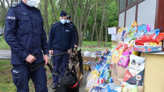 Policjanci przekazali ponad pół tony karmy dla schroniska