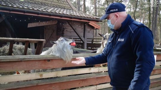 Policjanci przekazali pożywienie do minizoo 