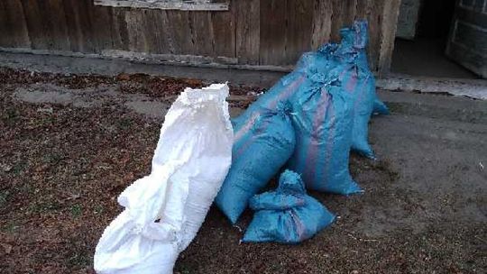 Policjanci zabezpieczyli 150 kg krajanki tytoniowej