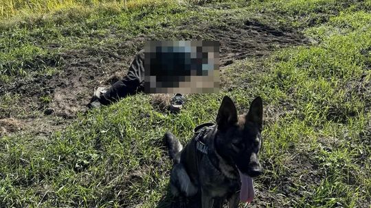 Policyjny pies odnalazł zaginionego seniora