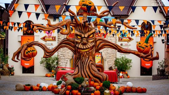 Polska Złota Jesień i Oktoberfest w Energylandii. Niezapomniane święto kolorów i biesiady!