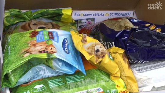 Pomagamy bezdomnym zwierzętom! To była udana zbiórka!