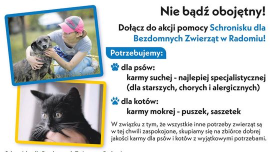 Pomóż psiakom
