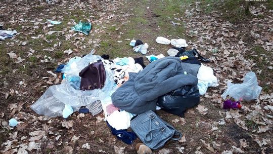 Ponad 10 tys. nowych zagrożeń. Zgłosili mieszkańcy