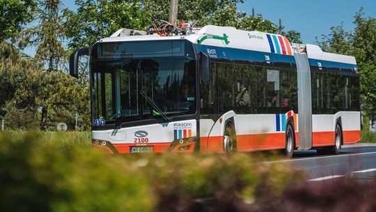 Ponad 1000 propozycji imion dla autobusów