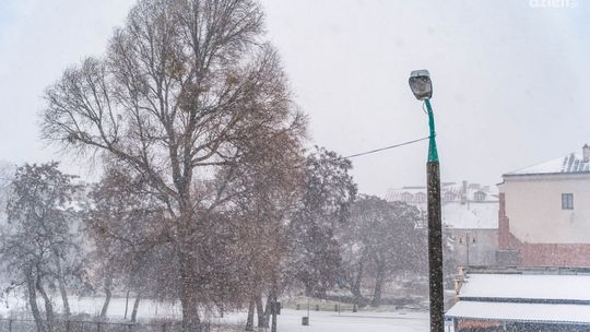 Ponad 28 tys. gospodarstw bez prądu