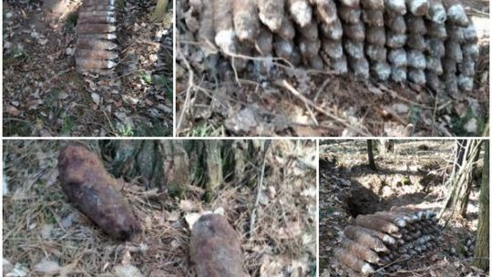 Ponad 50 niewybuchów znalezionych w lesie