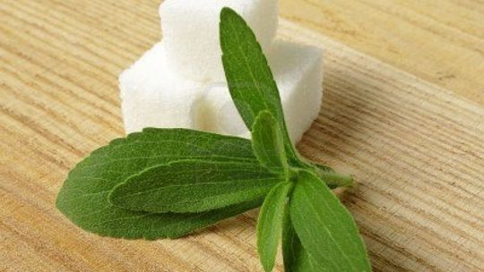 Porcja słodkości, czyli DNA substancji słodzących