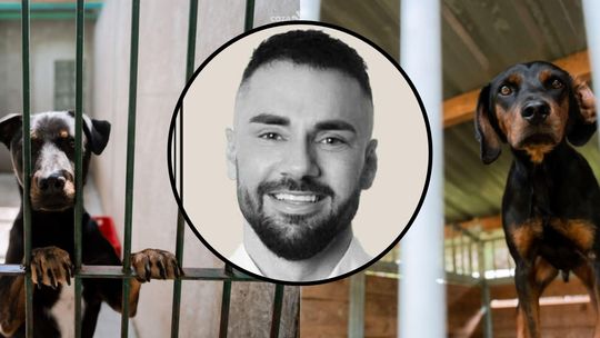 Poruszająca akcja radomskiego schroniska. Tak uhonorują posła Litewkę