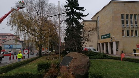 Porządki pod siedzibą Lasów Państwowych