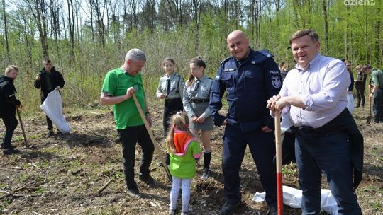 Posadzili 3 tys. drzew