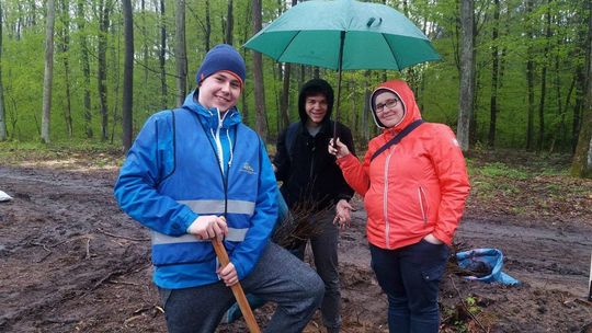 Posadzili drzewa w Lesie Kapturskim