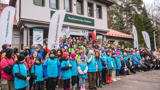 Posadzili las po raz 11.