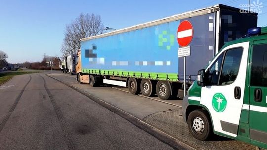 Posiadał jednorazowe zezwolenie, lecz wypełnione zmazywalnym atramentem